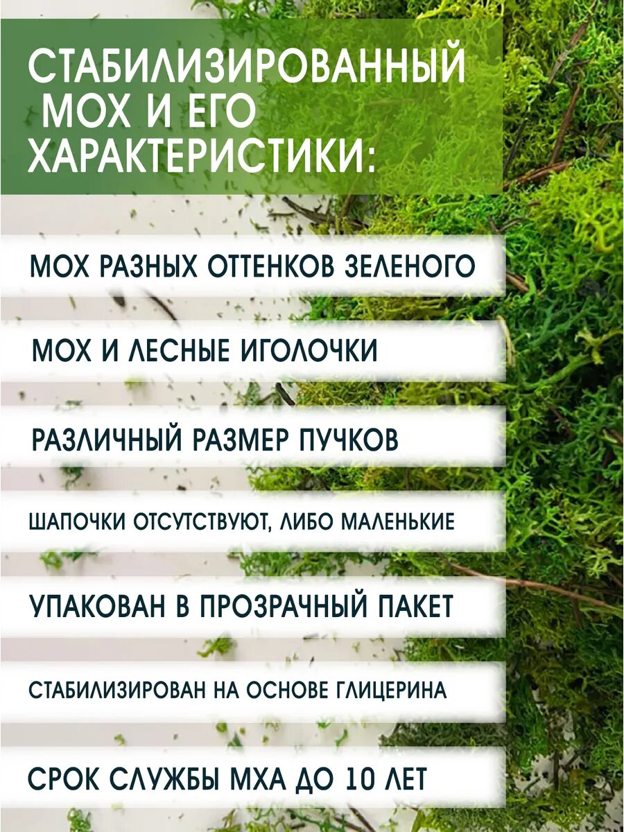 Стабилизированный мох StabFlora, с иголочками, для декора, 250 г — фото 1