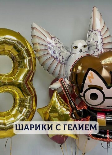 Изображение товара Воздушные шары с гелием, шарики воздушные "Гарри Поттер" №2701