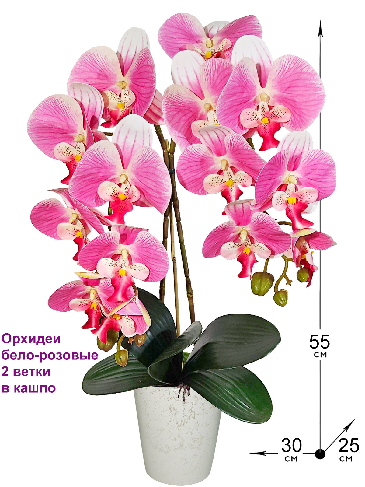 Искусственная Орхидея Фаленопсис 2 ветки бело-розовая латекс в кашпо 55см от ФитоПарк