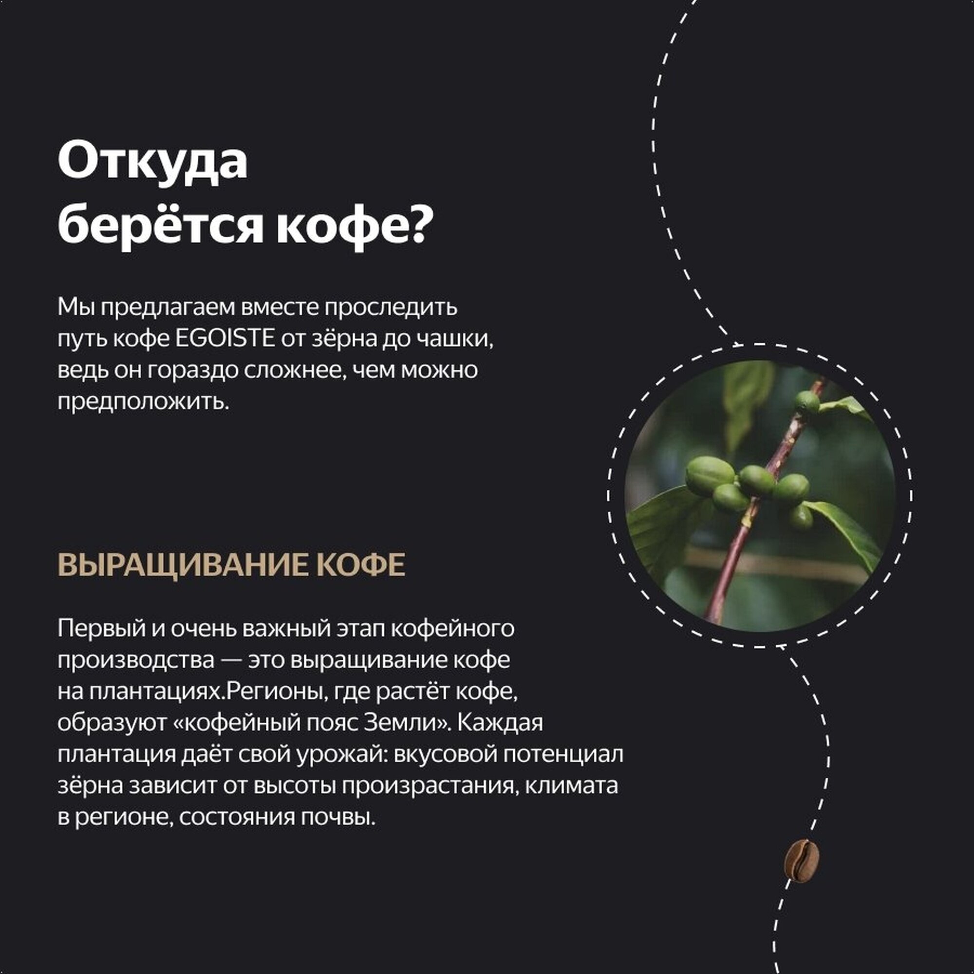 Кофе растворимый Egoiste Special сублимированный с молотым кофе, стеклянная банка, 2 уп. по 100 г — фото 1