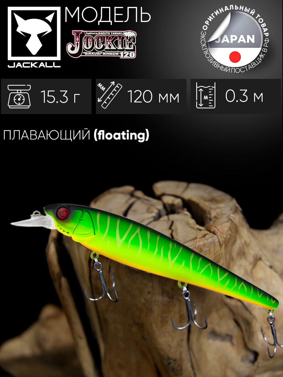 Skwal スクォール 165cm Skwal スクォール 165cm Skwal スクォール