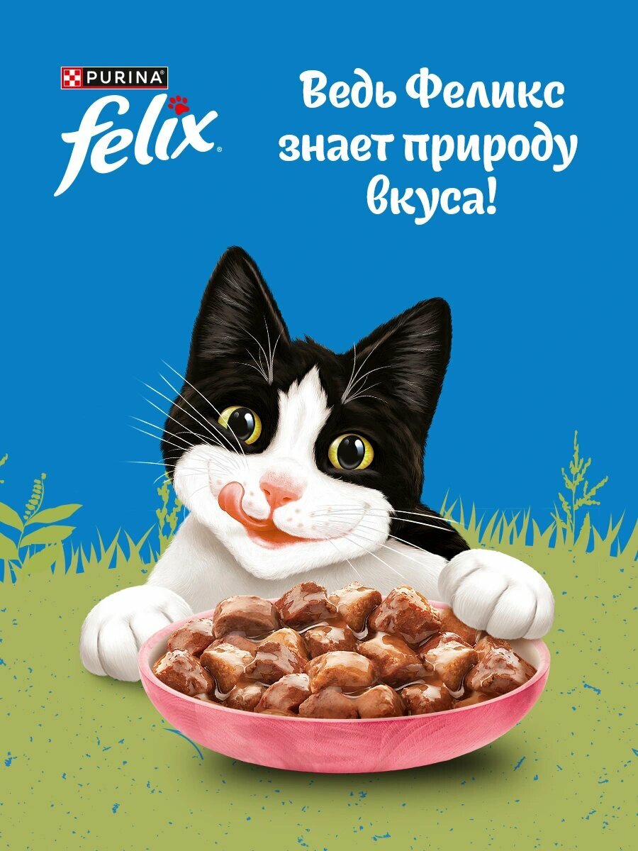 Влажный корм Felix Природа вкуса пауч для кошек (кусочки в соусе) Лосось, 75 г х 26 шт. — фото 1