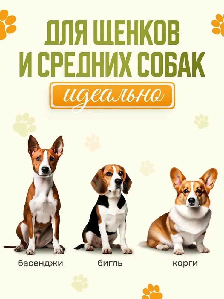 Картинки Коврик туалет для животных KALYU из антискользящего силиконового материала с двойной системой фиксации одноразовых пеленок, удобным бортиком для защиты напольного покрытия и приучения к туалету