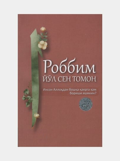Роббим йул сен томон. Инсон Аллохдан бошка каерга хам бориши мумкин?