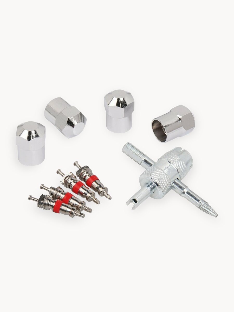 Ремкомплект для вентилей (4 золотника, 4 колпачка на вентиль, метчик) AIRLINE ATRS017