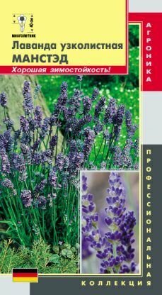 Лаванда Манстэд узколистная 20 семян /Плазма