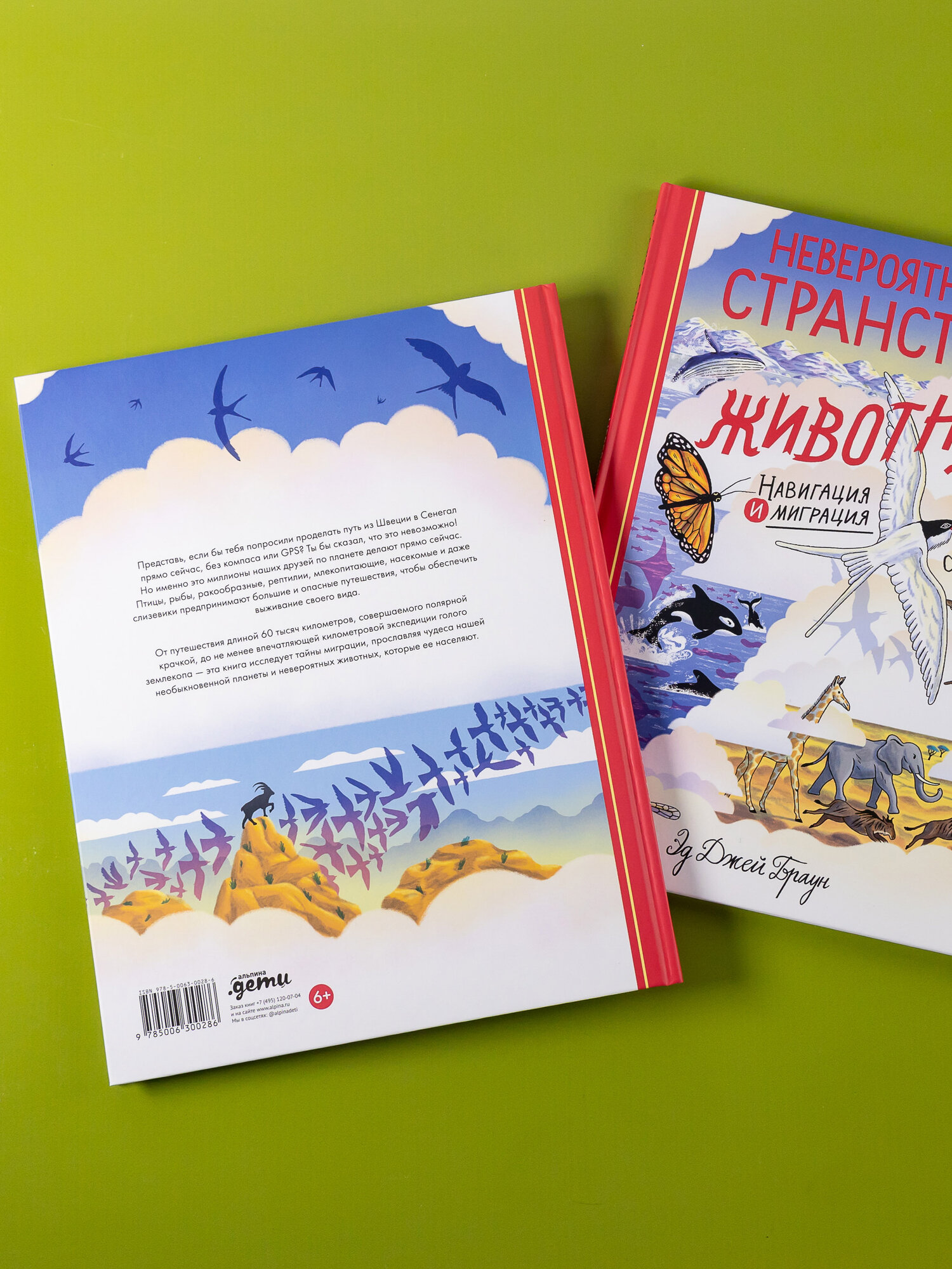 Невероятные странствия животных : навигация и миграция по воздуху, суше и морю - фото №3