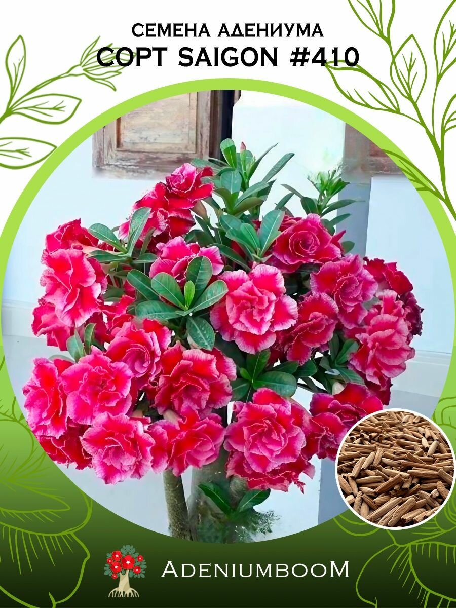 Семена Адениума Обесум от Saigon Adenium #410 (4шт.) /семена редких комнатных цветов, суккулентов многолетних, цветущих растений/AdeniumBoom