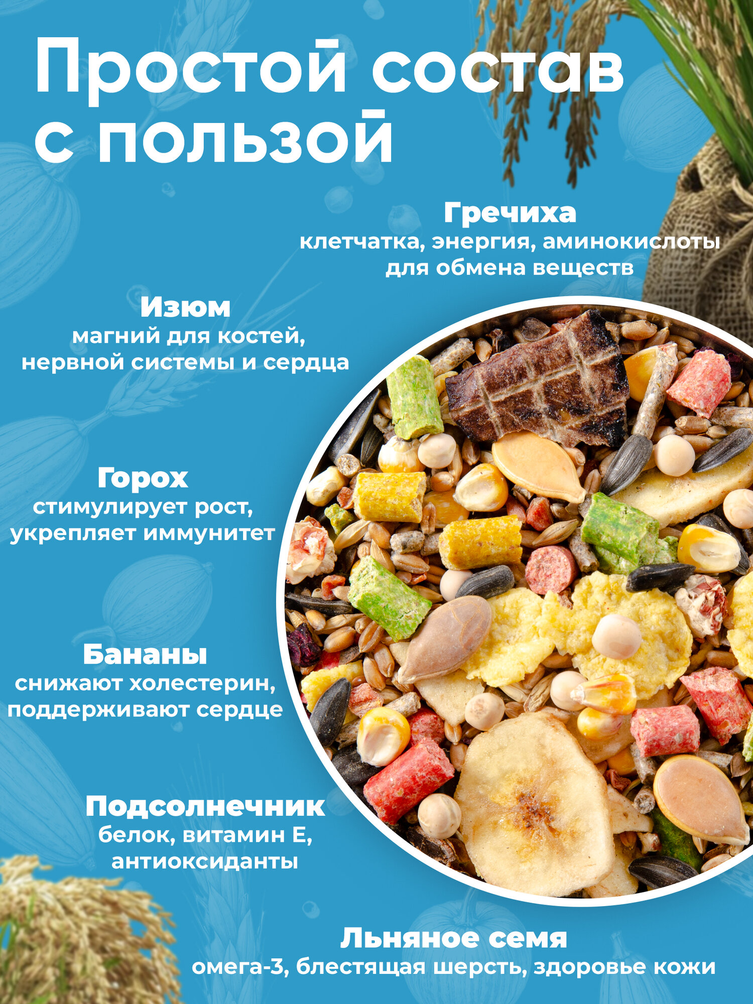 Корм для крыс Exoprima "То что надо!", зерновая смесь, 800 гр — фото 1