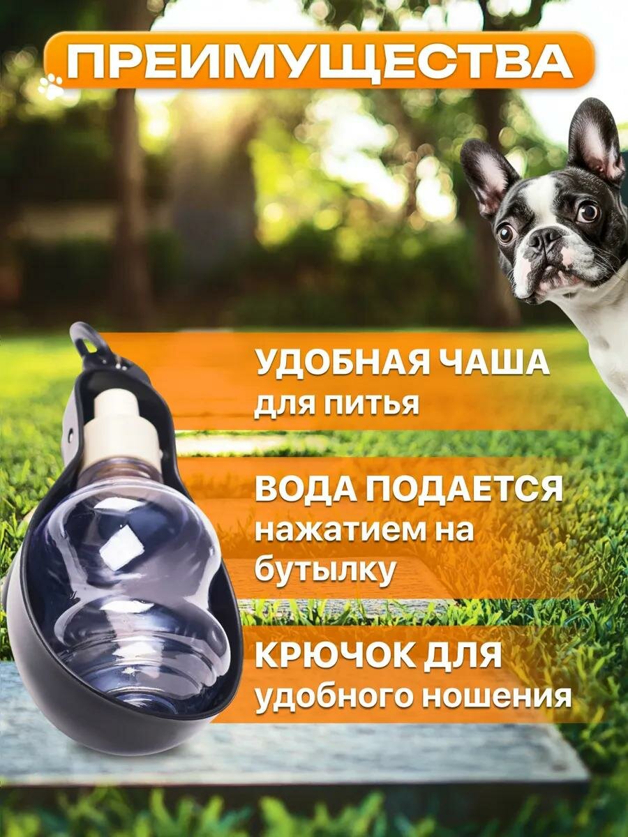 Поилка прогулочная фигурная, 300 мл, с мягким носиком, чёрная — фото 1