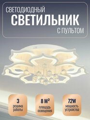 Потолочный светильник 55087/10WT ЭкономСвет