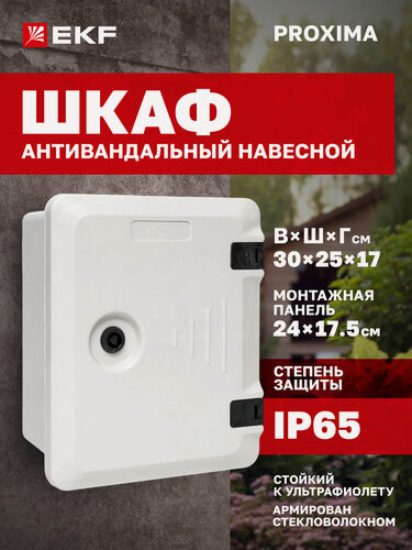 Изображение товара Щиток электрический навесной EKF PROXIMA ЩМП антивандальный с монтажной панелью (300x250x170мм) IP65