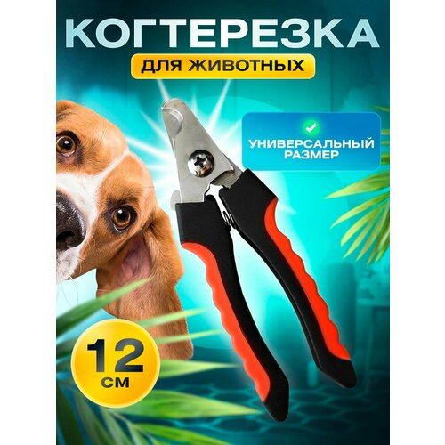 Когтерез для кошек и собак, с ограничителем длинны/ Для животных маленьких и средних пород/ ножницы для стрижки когтей