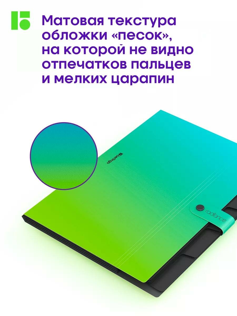 Папка для документов на кнопке, А4, 5 отделений Berlingo "Radiance", 600мкм, , голубой/зеленый градиент — фото 1