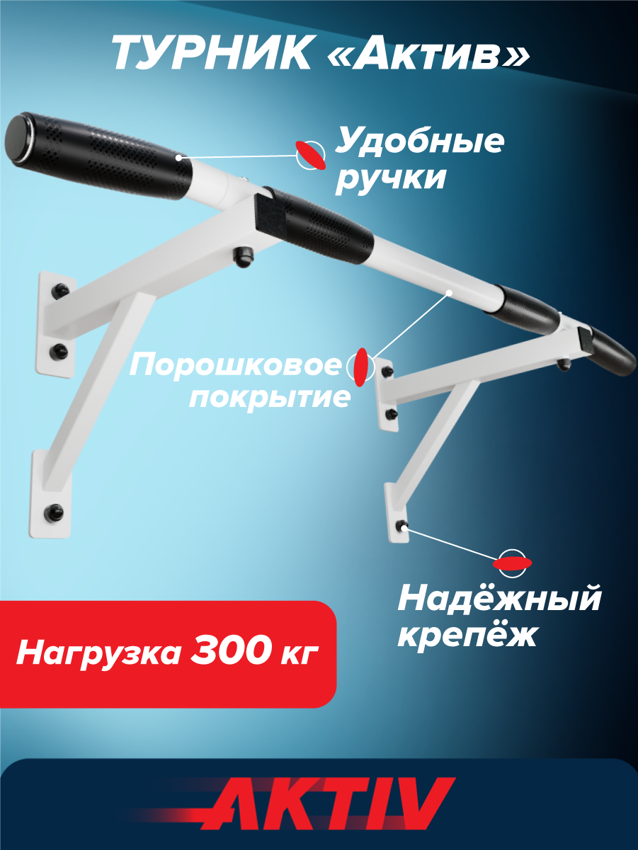 Турник настенный Aktiv белый разборный Aktiv/Absolute Champion