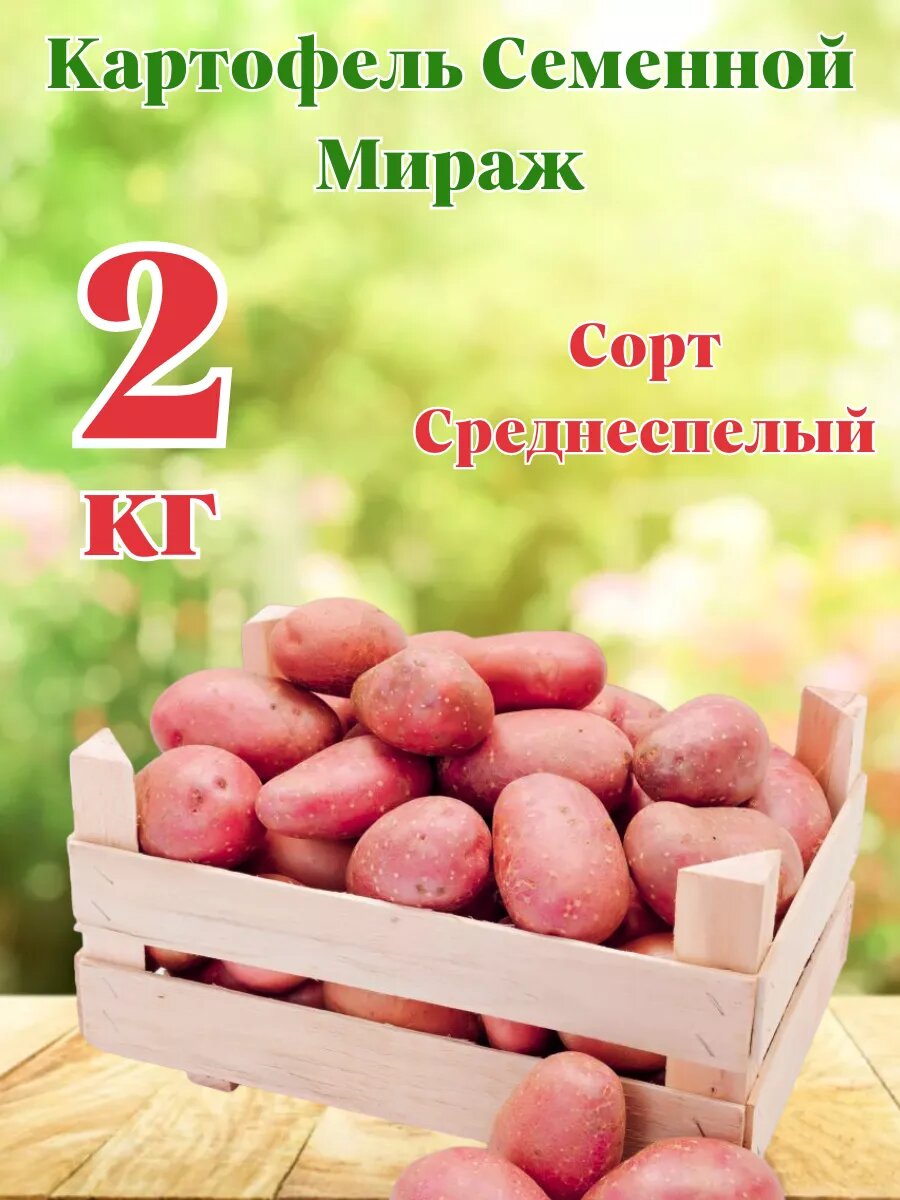 Картофель Семенной Мираж 2кг
