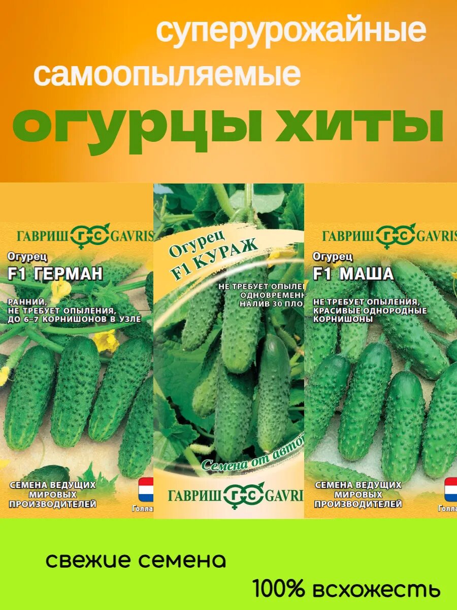 Семена огурцов самоопыляемых Кураж Герман Маша 3 пакета 20 семян