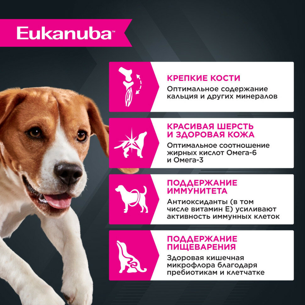 Eukanuba Adult Dog консервированный корм для взрослых собак всех пород старше 1 года с ягненком в соусе, в паучах - 100 г х 24 шт — фото 1