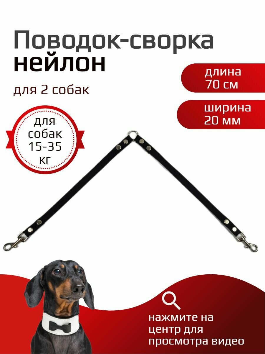 Сворка Хвостатыч для двух собак нейлон 70 см х 20 мм (черный)
