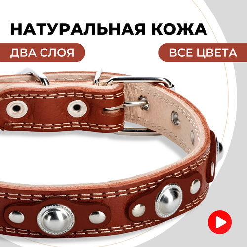 Ошейник кожаный для собак мелких и средних пород, двухслойный