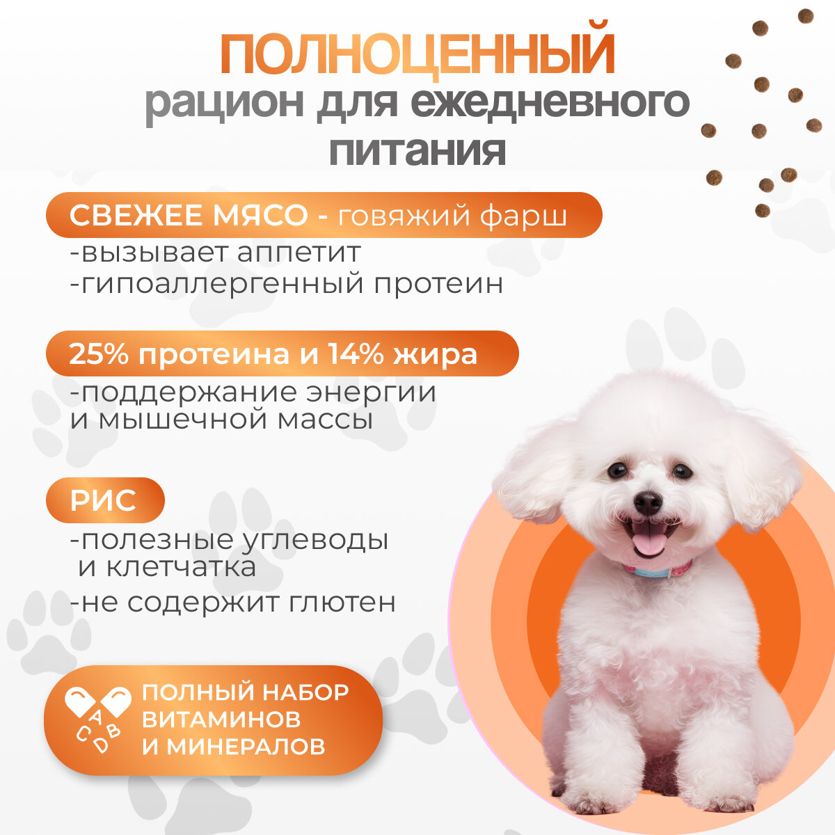 Сухой корм биско/BISKO мини с говядиной для взрослых собак мелких пород 3 кг. — фото 1