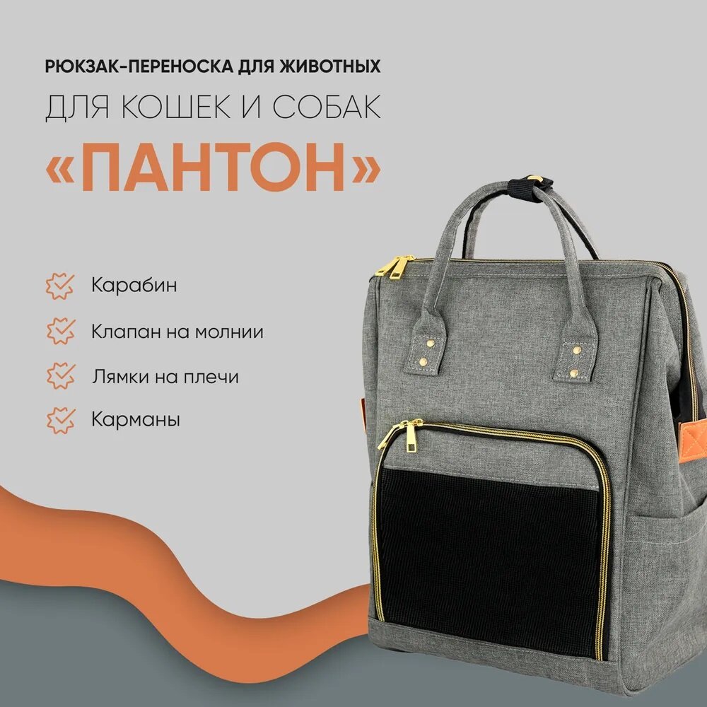 Рюкзак-переноска для животных, для кошек, для собак, "Не Один Дома" Пантон, серый, 30х20х43 см — фото 1
