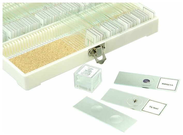 Набор готовых микропрепаратов Микромед №80 — фото 1