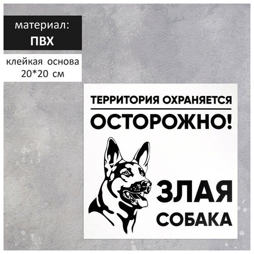 Табличка злая собака 200х200, клейкая основа табличка злая собака 200х200мм пвх