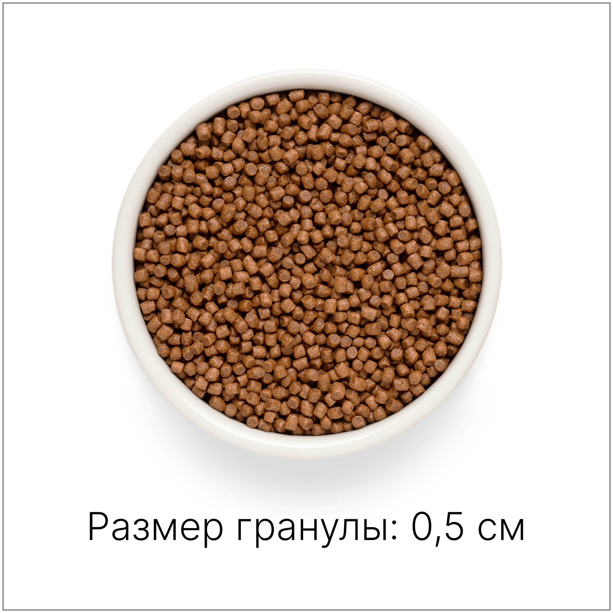 Сухой корм для котят и кошек Premier cat Turkey (Свежее мясо индейки для котят) 2 кг. - фотография № 7