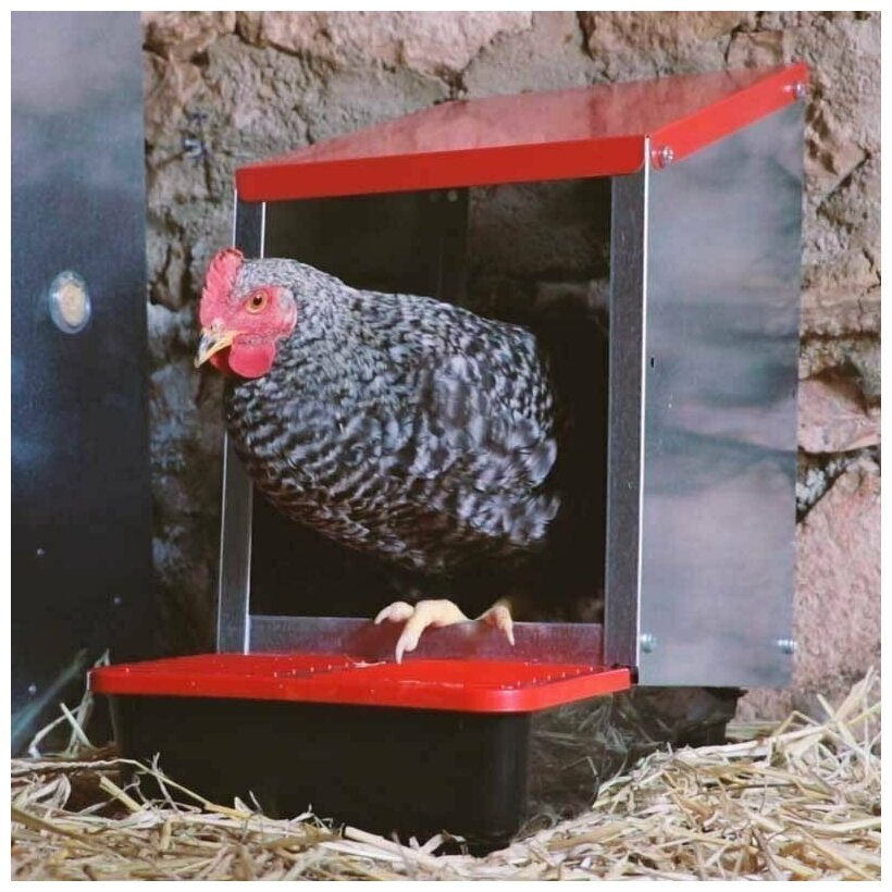 Гнездо для кур несушек Platinum, 2 секции, с яйцесборником - фотография № 6