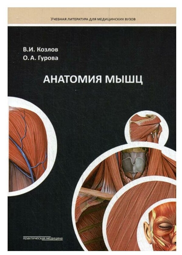 Анатомия мышц (Козлов Валентин Иванович, Гурова Ольга Александровна) - фото №1