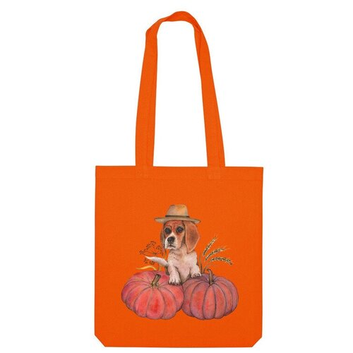 фото Сумка шоппер us basic, оранжевый