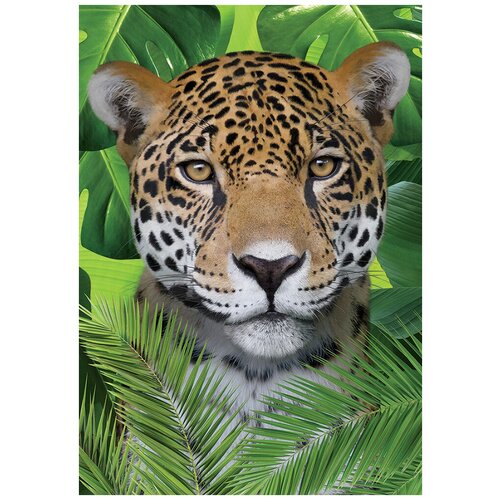 Хозяин джунглей Х 5 