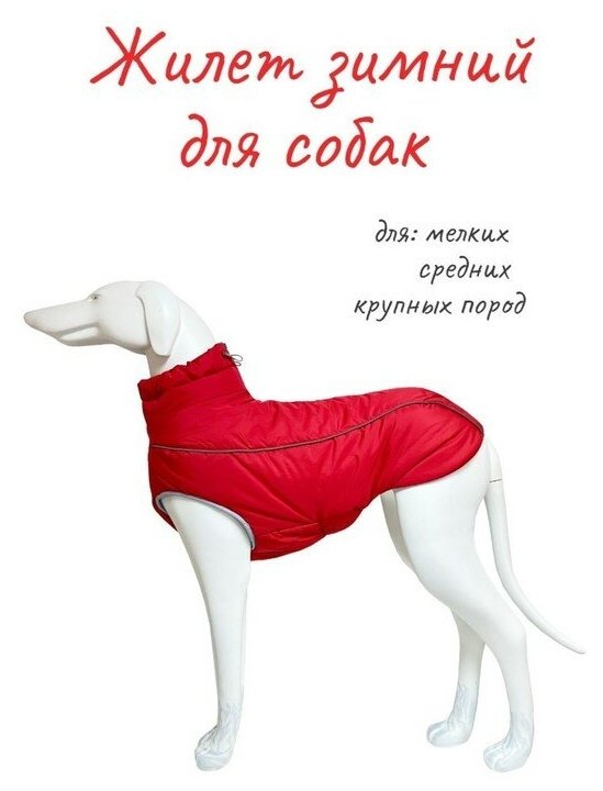 Жилет для собак OSSO Fashion Аляска , L унисекс - фотография № 4