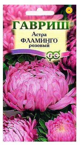 Астра Фламинго розовый 0,3г Одн 75см (Гавриш) - 10 ед. товара