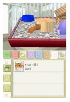 Игра для Nintendo DS Hamsterz 2