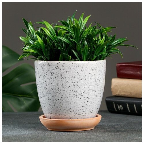 Горшок цветочный Конус серый 1л 856₽