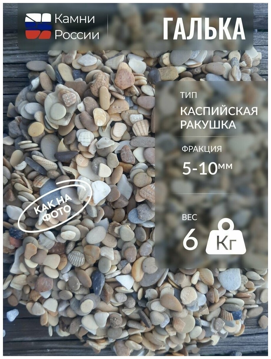 Галька "Каспийская ракушка" (5-10мм, 6кг)