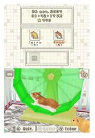 Игра для Nintendo DS Hamsterz 2
