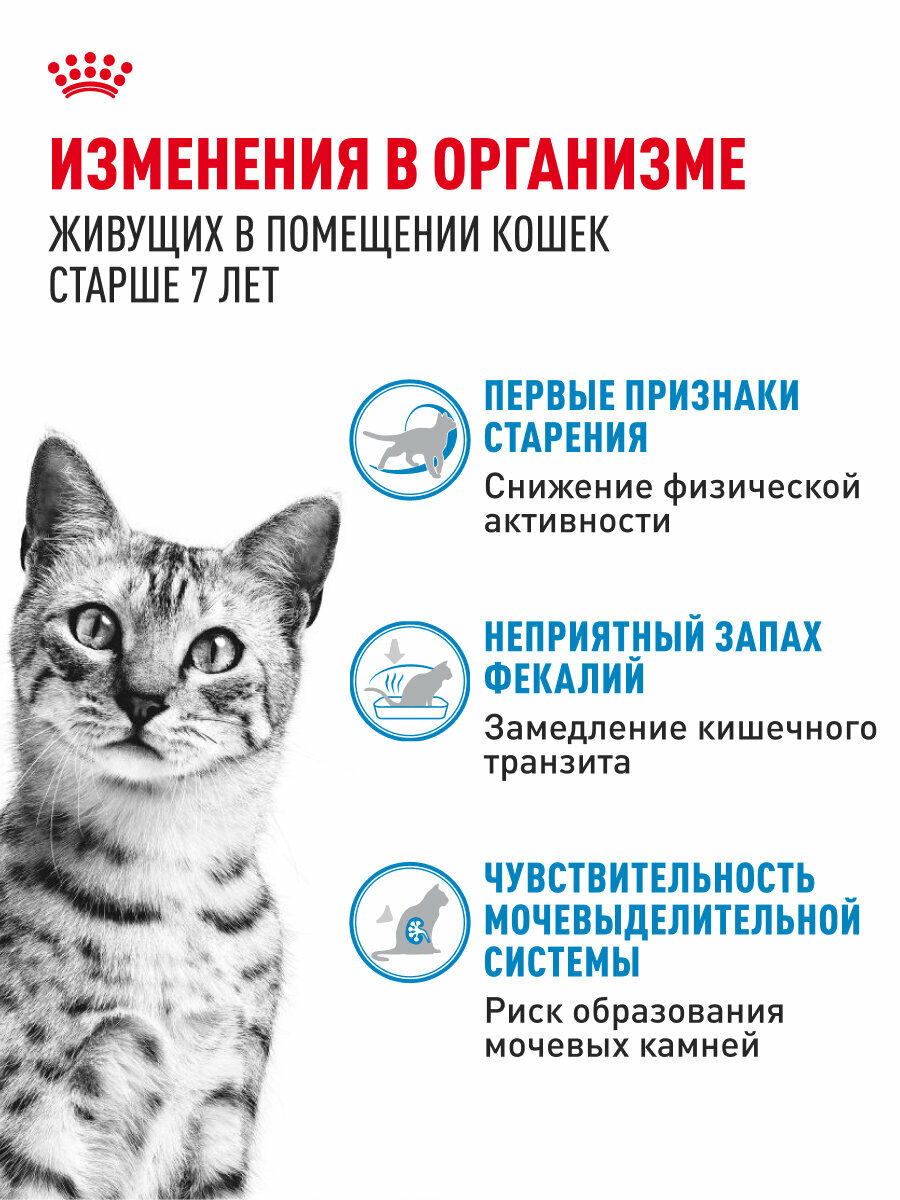 Сухой корм для кошек Royal Canin Indoor 7+ для живущих в помещении, 0,4 кг — фото 1
