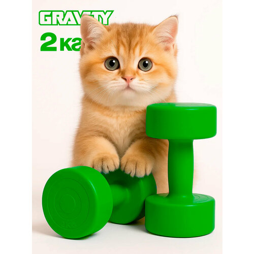 Виниловые гантели Gravity, круглые, 2 кг, пара, зеленый