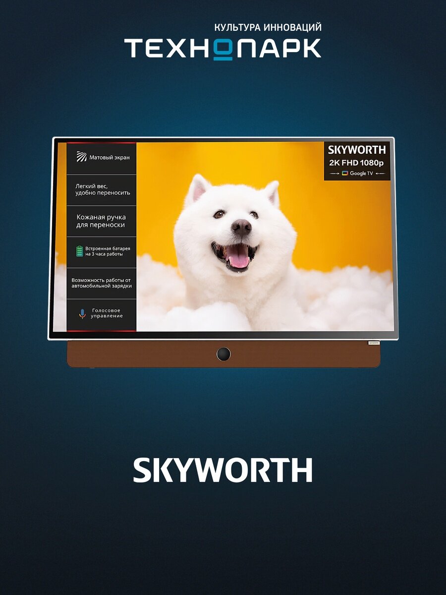 Телевизор Skyworth 24LP60G