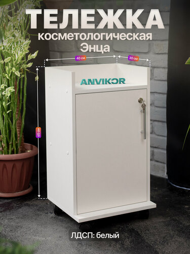 Изображение товара Косметологическая тележка ЛДСП с колесиками и дверцей на замке Энца белый