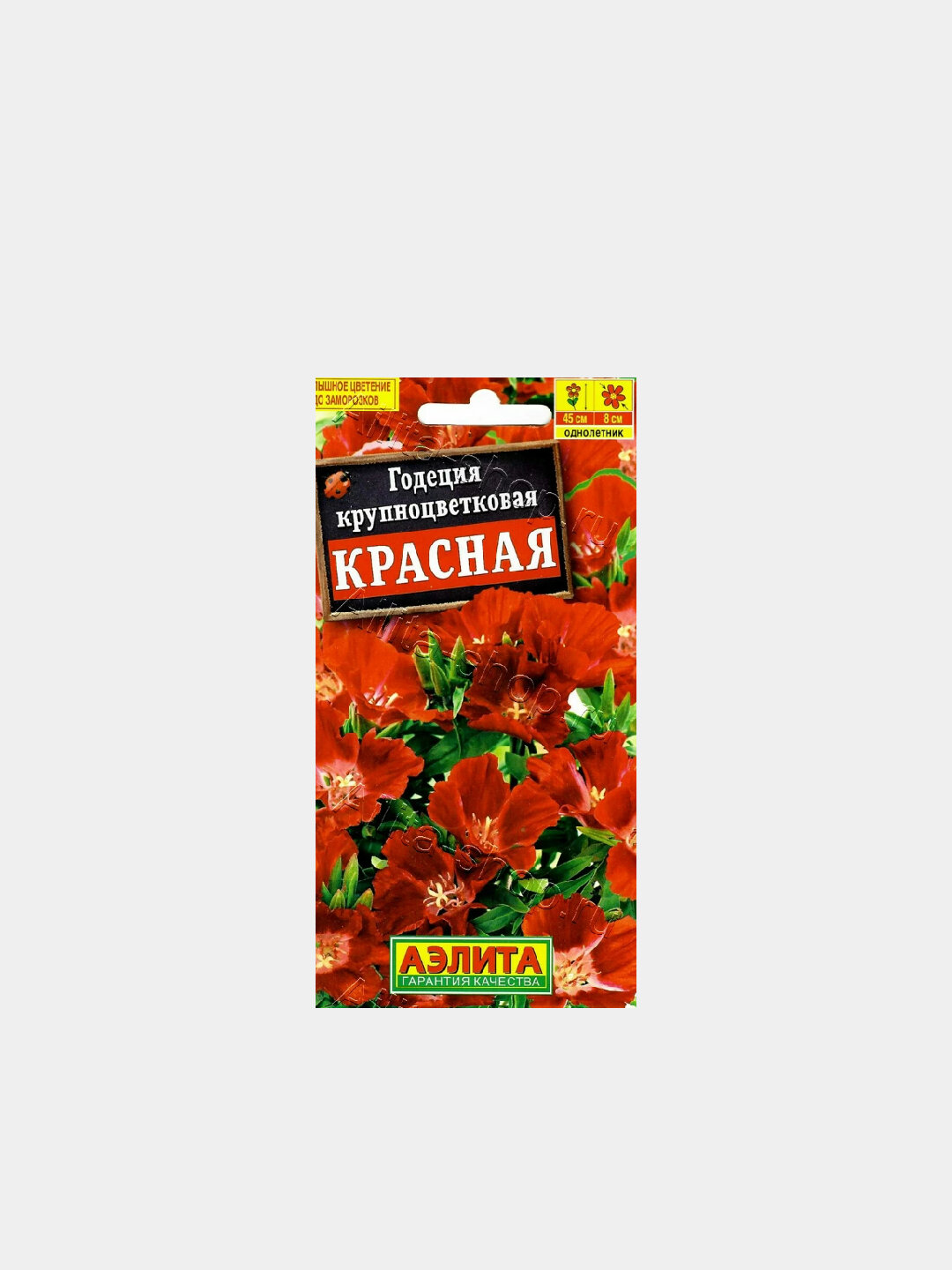 Семена цветов Годеция крупноцветковая «Красная» — яркий акцент для вашего сада