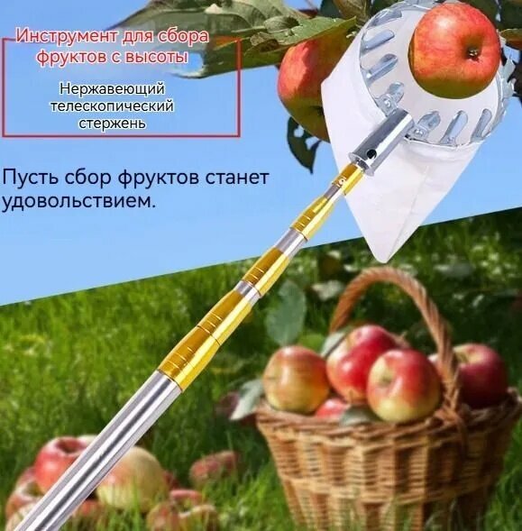 Плодосборникх20