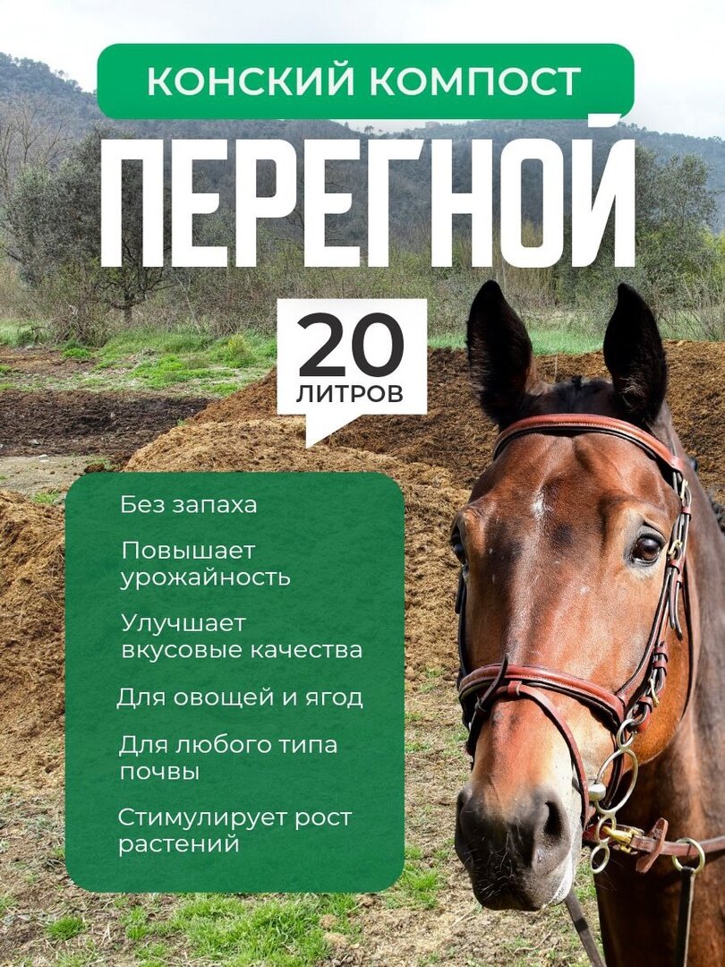 Перегной конский