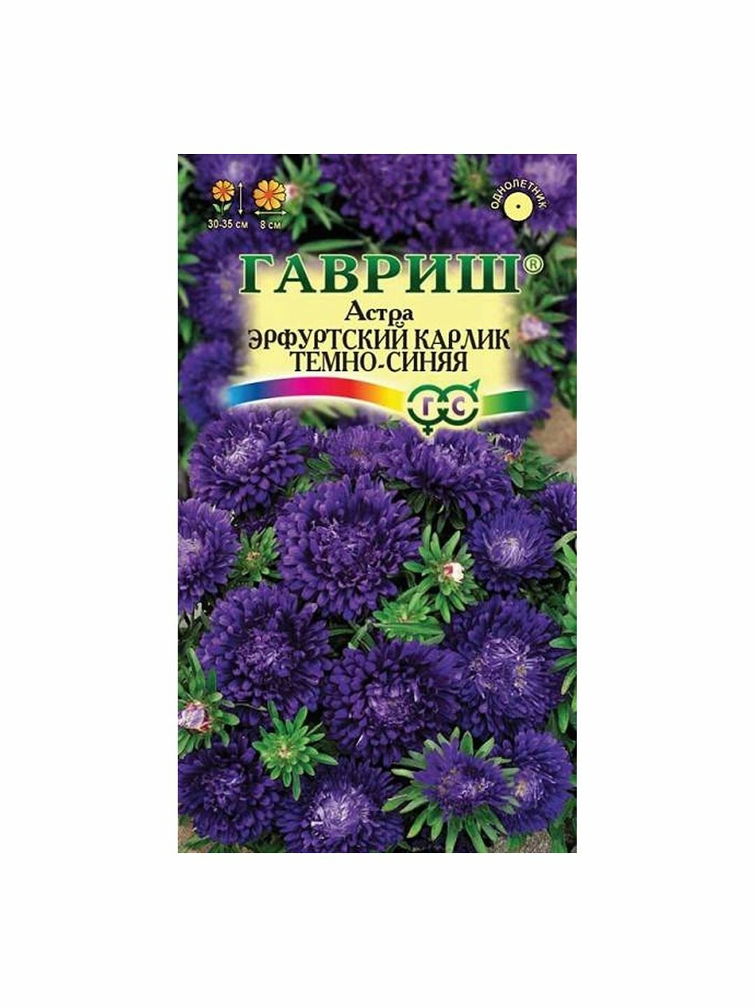Семена Астра Эрф. карлик Темно-синяя однолетник цветной пакет Гавриш 1 пачка - 0.3г семян