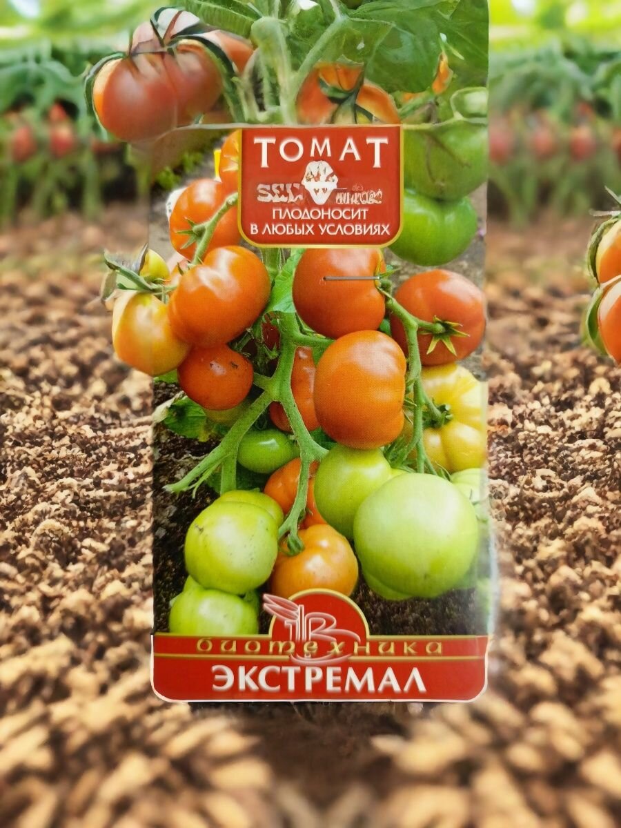 Семена ранних томатов Экстремал   для рискованного земледелия   Биотехника