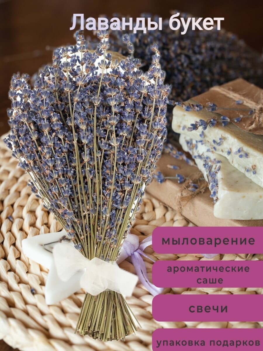 Лаванда крымская букет сухоцветов