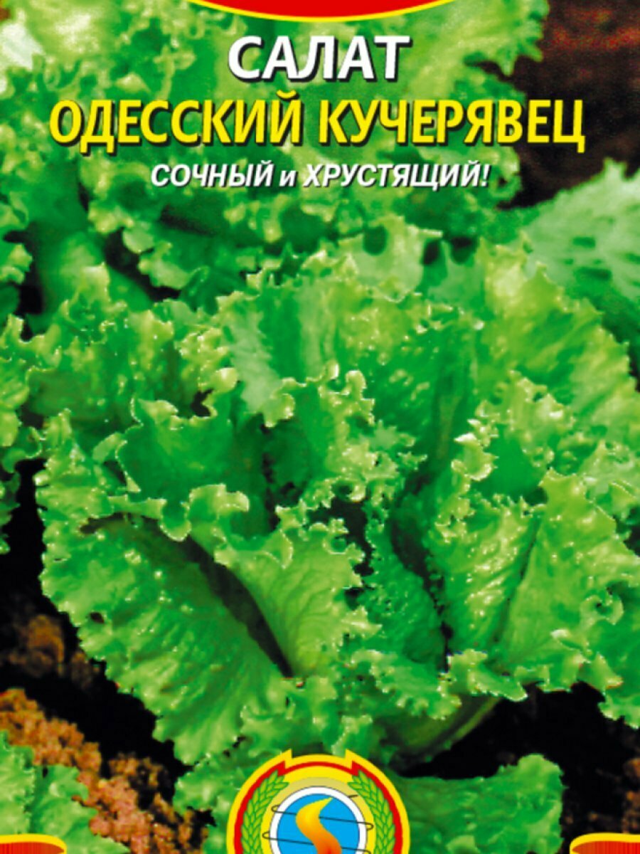 Салат Одесский кучерявец полукочанный 05 г Плазменные семена